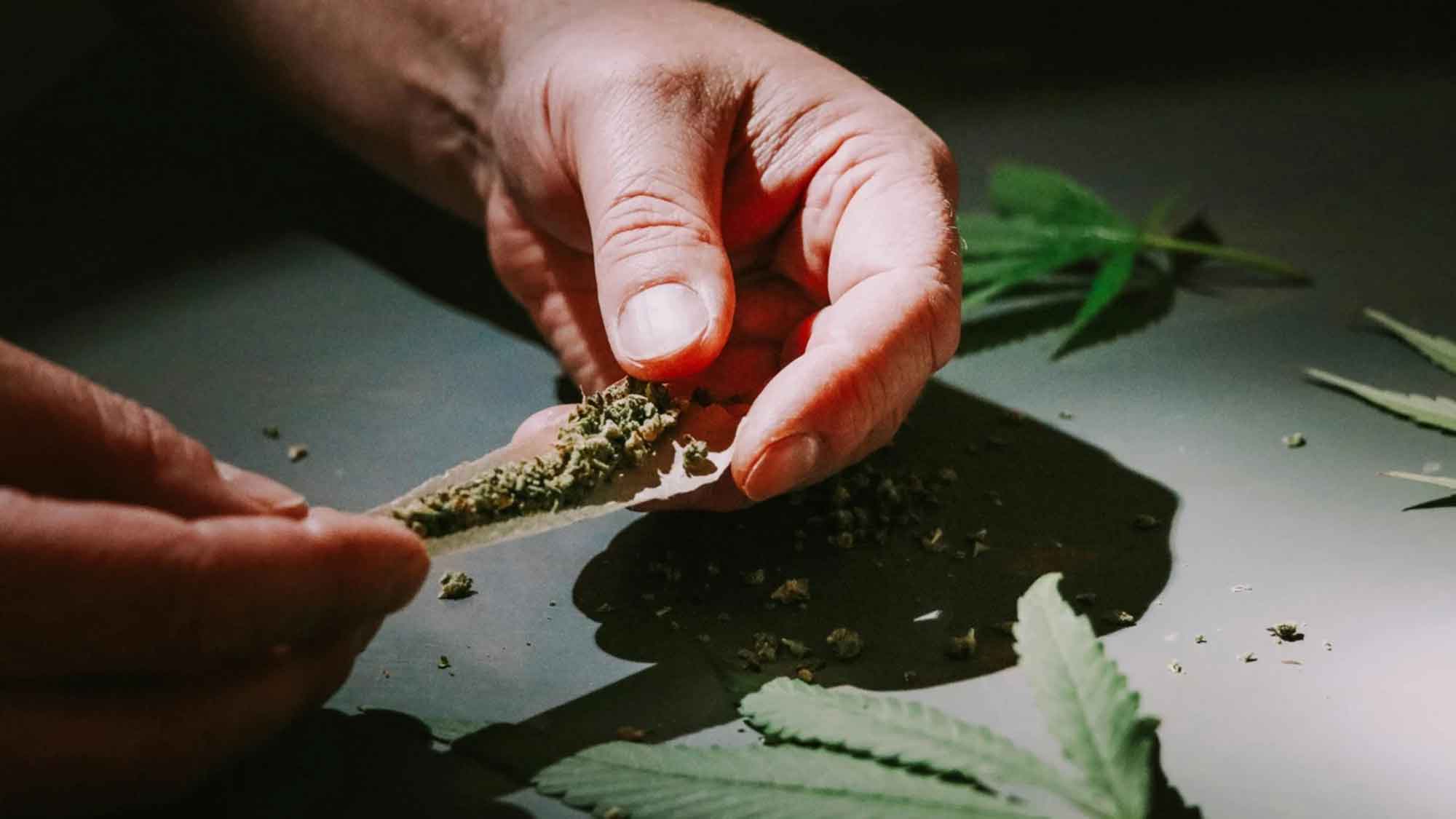 Ratgeber Cannabis und Führerschein: Warum es keine THC Grenze gibt